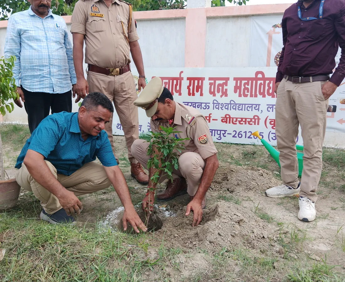 नर्सरी अभ्यास