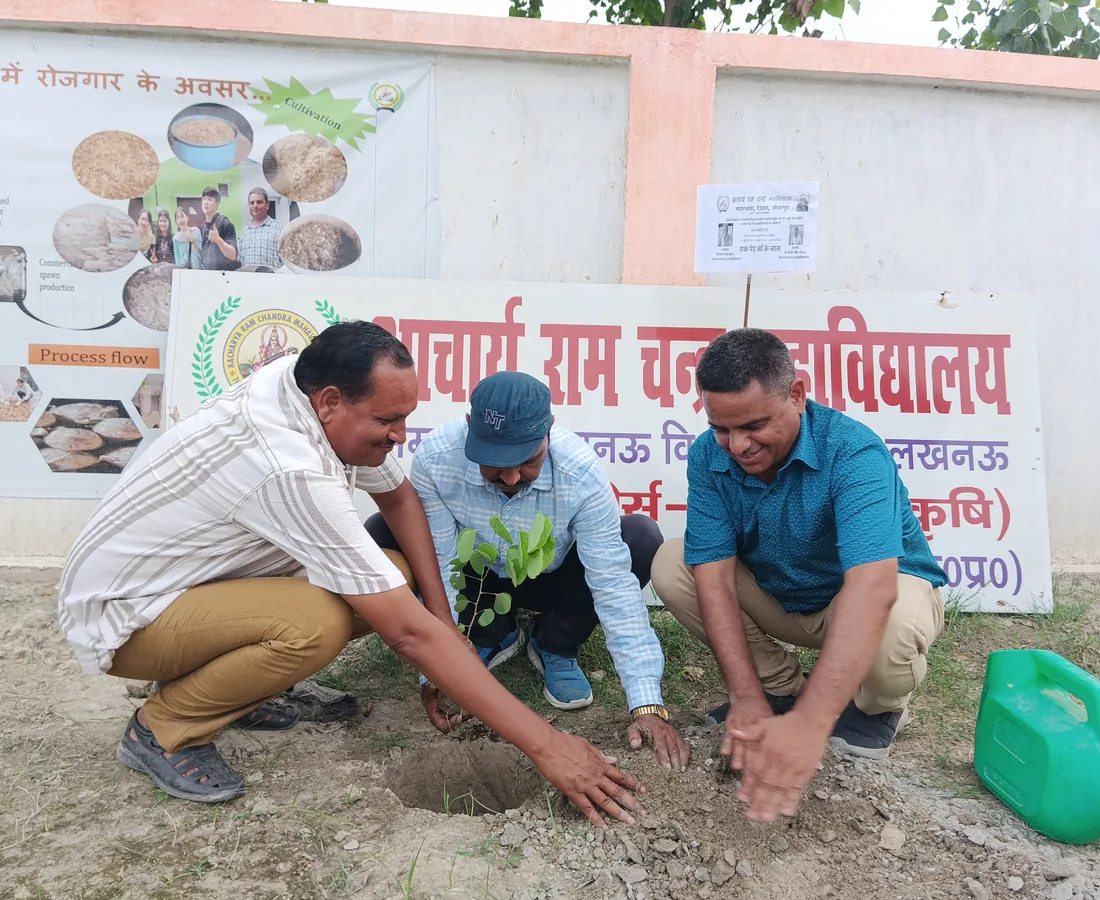 समुदाय आधारित सीखना